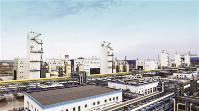 Jackpot(�й���)�ٷ���վ